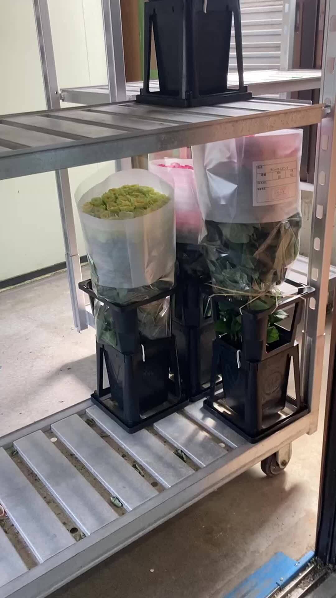 「出荷風景です」安間ばら園さんからの動画｜食べチョク｜産地直送(産直)お取り寄せ通販 - 農家・漁師から旬の食材を直送
