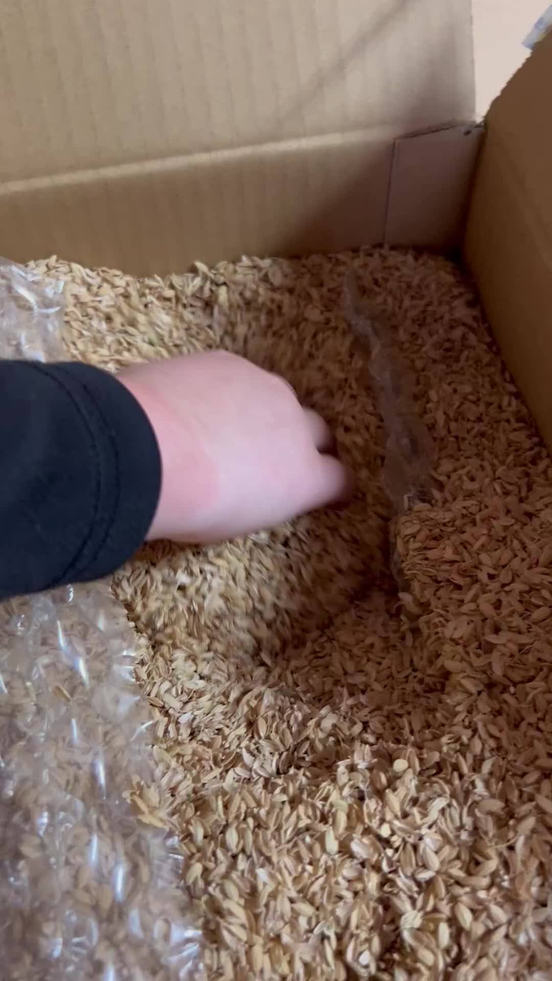 ガチョウの卵」ふぁーむbuffoさんからの動画｜食べチョク｜産地直送