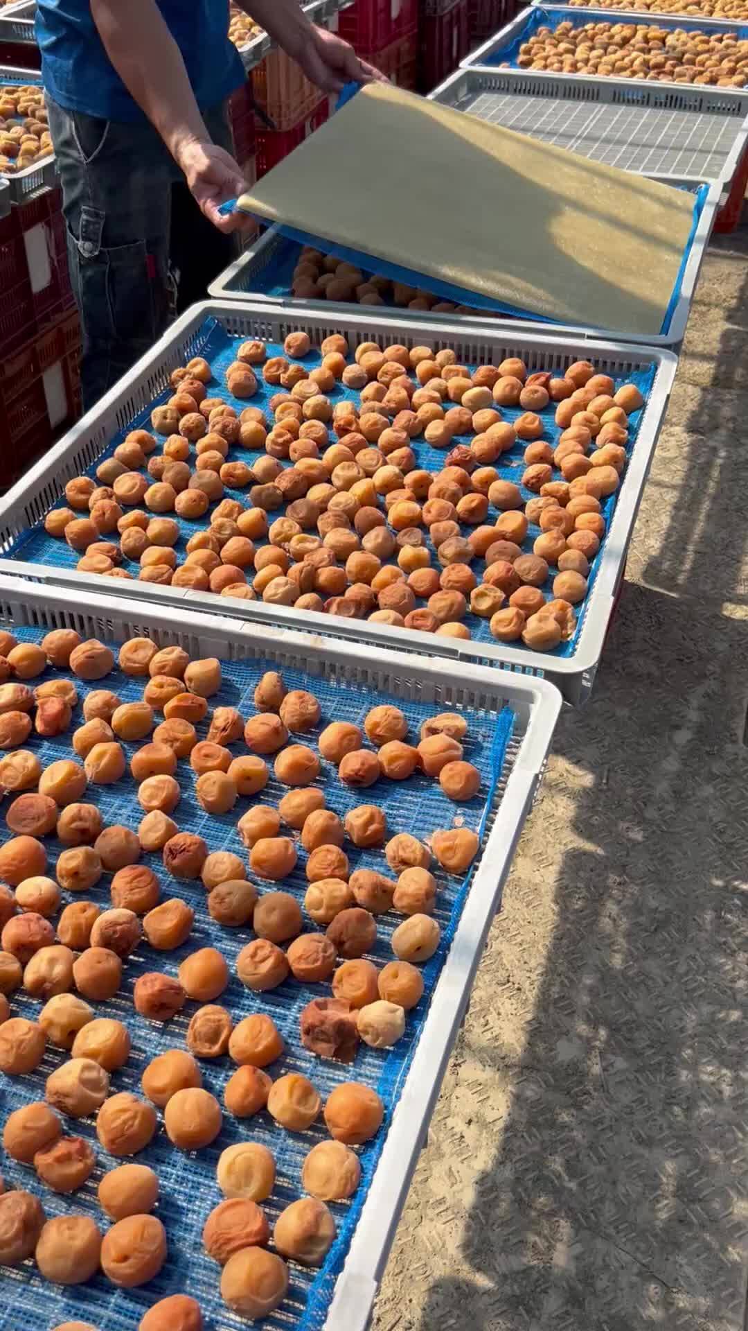 「梅干しの反転作業」紀州ふるさと農園さんからの動画｜食べチョク｜産地直送(産直)お取り寄せ通販 - 農家・漁師から旬の食材を直送