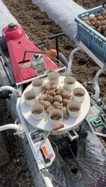 ファームみなみの郷