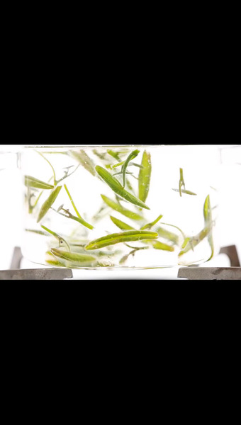 安藤ケンスケ＠安藤食品