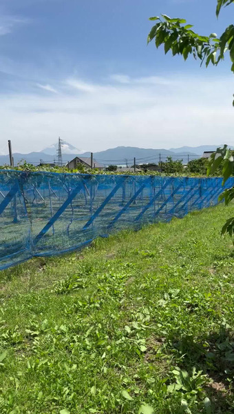 南アルプスこまの園