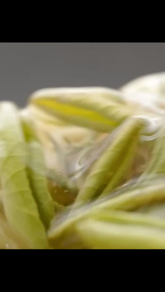 安藤ケンスケ＠安藤食品