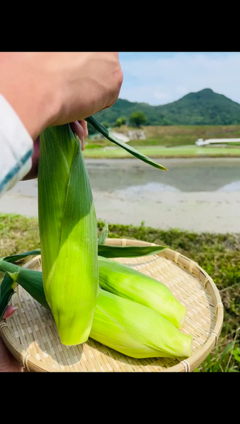 大須賀　顕大