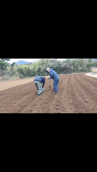 こばさんち農園