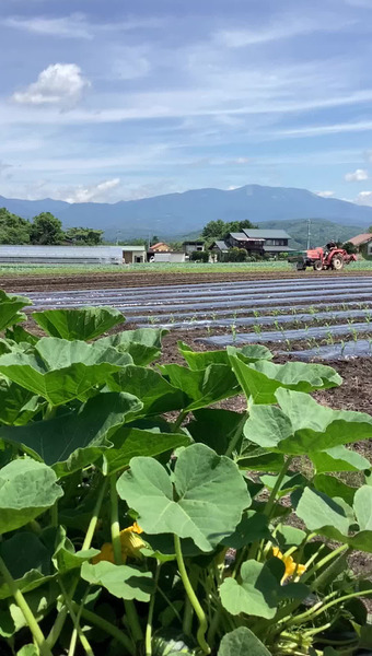 めぐみ農園