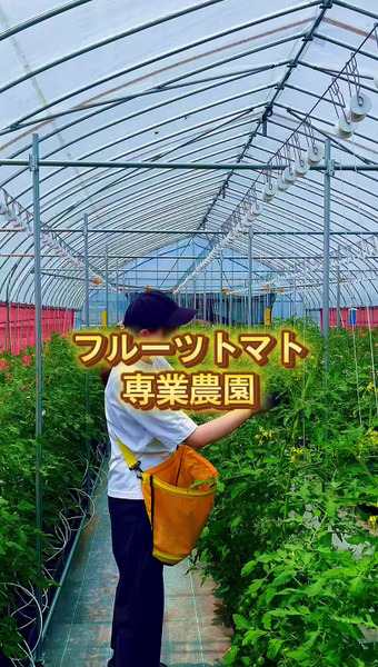 ミサトファーム