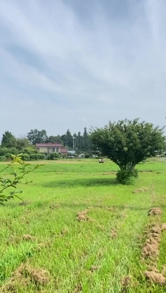 固定種/在来種のお野菜・自然栽培ナチュベジ＊ウィル 