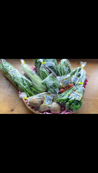 固定種/在来種のお野菜・自然栽培ナチュベジ＊ウィル 