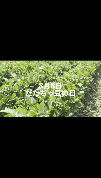 農家 小池半左衛門