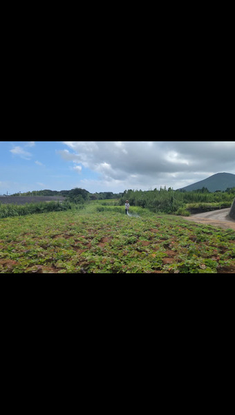 こばさんち農園
