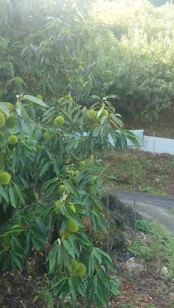 株式会社メニークエスト