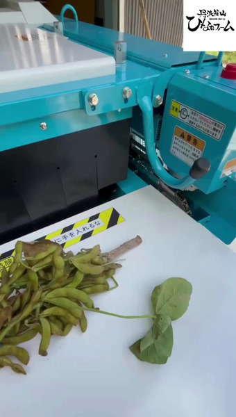 丹波篠山 ひなたファーム