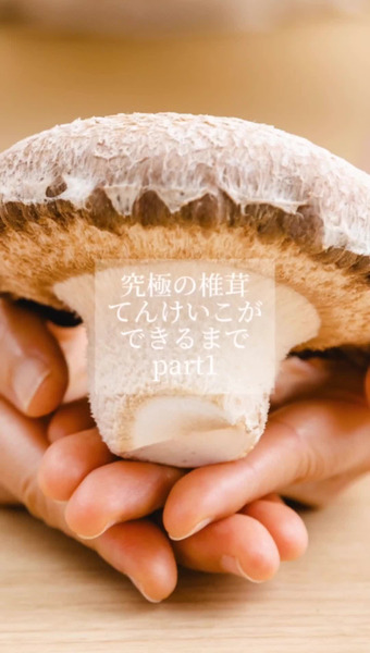 徳島椎茸ファーム