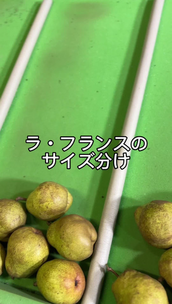 なかむラ･フランスファーム