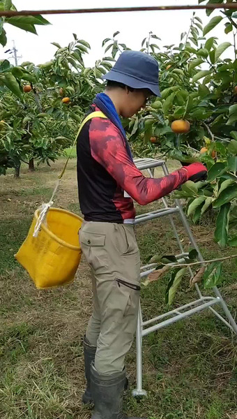 陽だまりの里　足立柿園