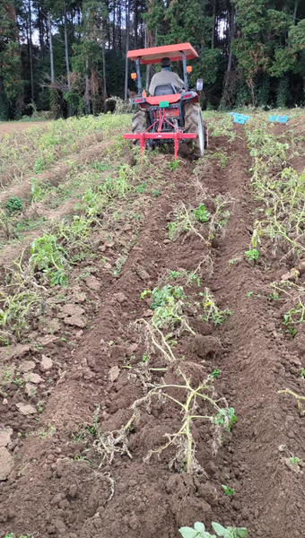 こばさんち農園