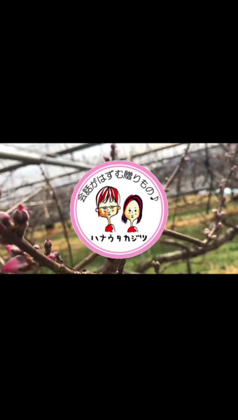 ハナウタカジツ