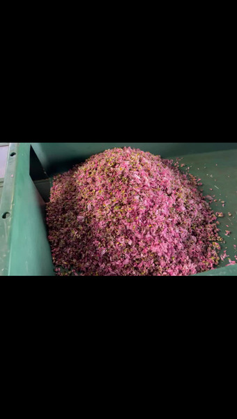 南アルプスこまの園