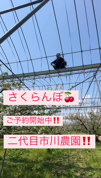 二代目市川農園