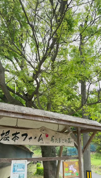 鷺島みかんじま