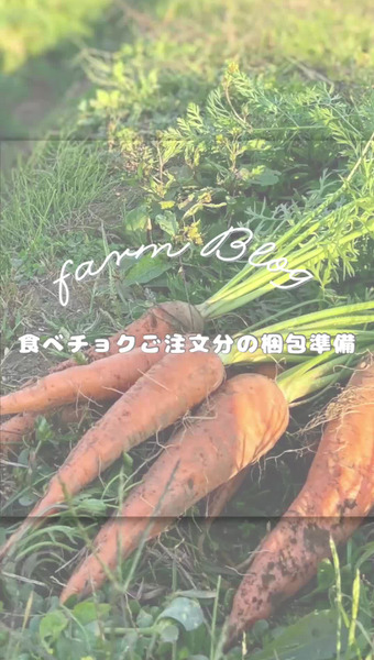 しとう農園