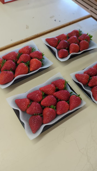 なつあき農園