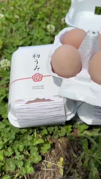 鷺島みかんじま