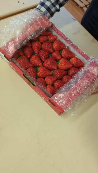 なつあき農園