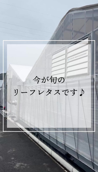 マナの菜園