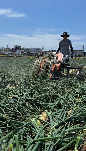 仲田青果