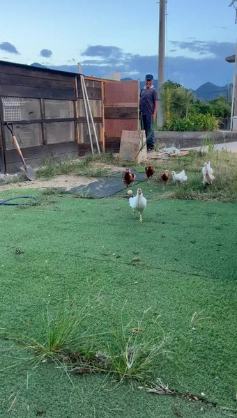 レモンの卵農園