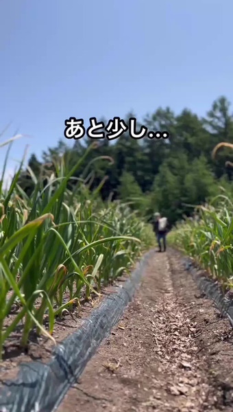 オーク牧場