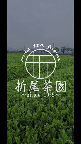 折尾茶園