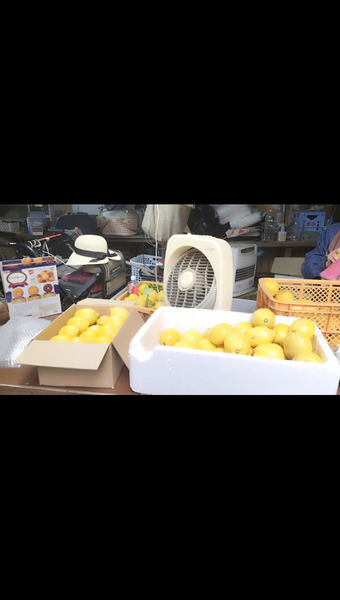菅原オレンジ農場