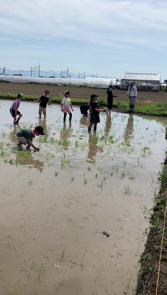 古賀農園