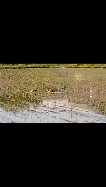 アフコ秋山農場