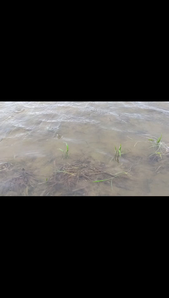 アフコ秋山農場