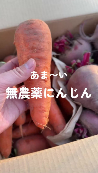 上杉農園