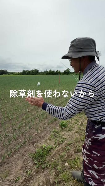上杉農園