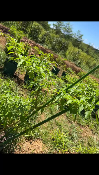 みろくふぁーむ