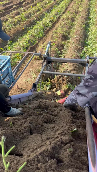 有限会社かわに