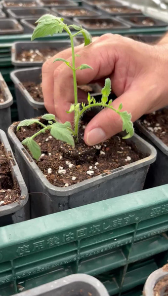 みろくふぁーむ