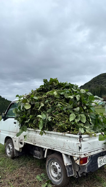 丹波篠山 ひなたファーム