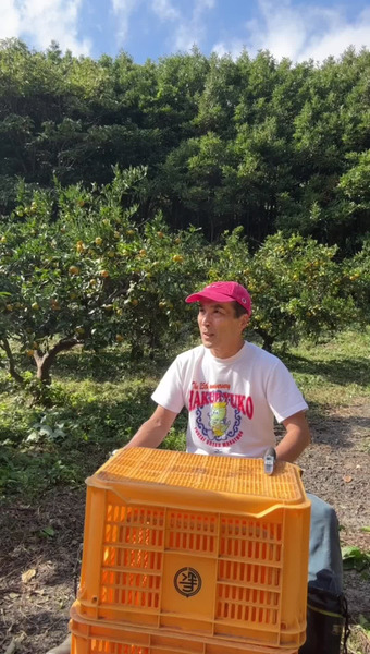 せとうち柑橘はつかで農園