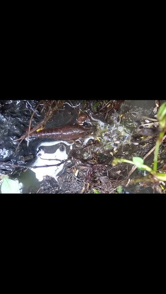 アフコ秋山農場