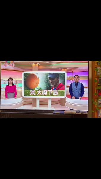 せとうち柑橘はつかで農園