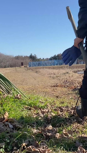 固定種/在来種のお野菜・自然栽培ナチュベジ＊ウィル 