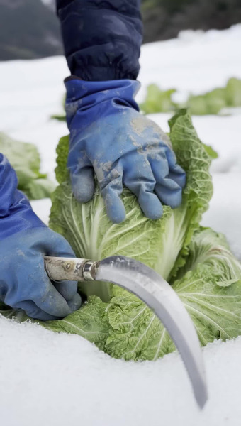 むらおか夢アグリ