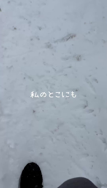 ひなたきゅうり